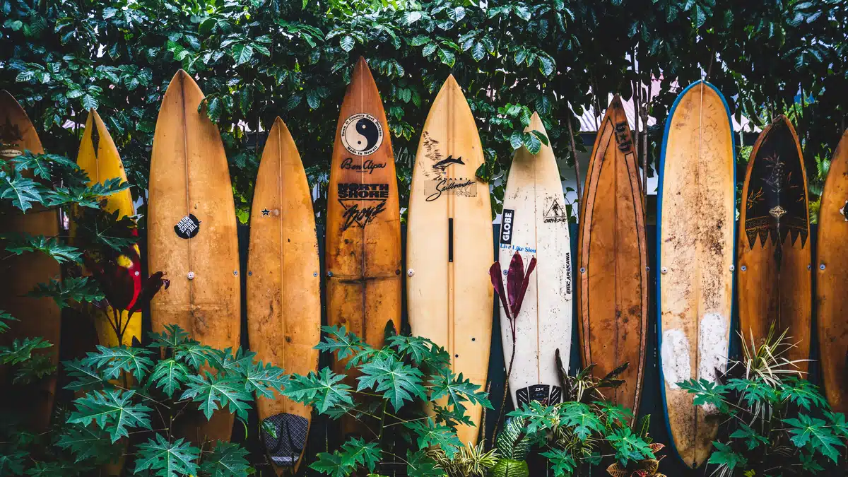 A row of surfboards are stood up against some trees in Hawaii.