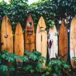 A row of surfboards are stood up against some trees in Hawaii.