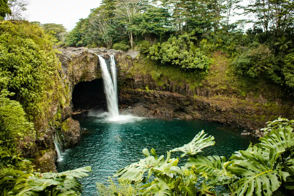 A small waterfall amongst some trees in Hawaii.