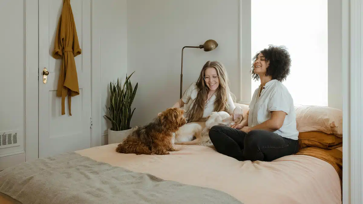 Two women are on a bed, with a dog in front of them happy to get attention. Their window is open, and lots of sun is coming in. The room is nicely furnished by furniture stores that ship to Alaska.