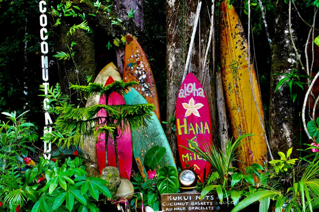 Some surf boards are propped up on palm trees on a beach in Hawaii.