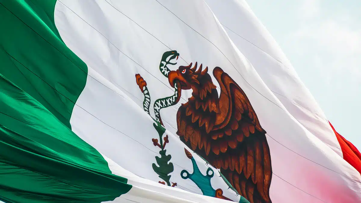 Mexico's flag, zoomed in to the centre. It is flying in the wind.