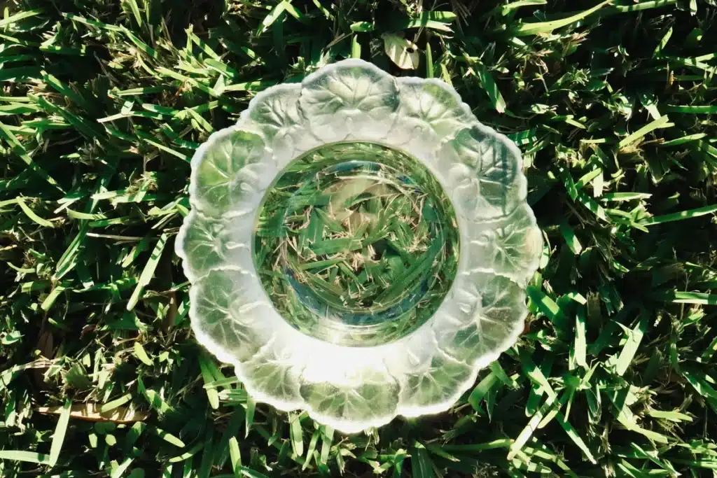 Glass candy dish on top of grass.